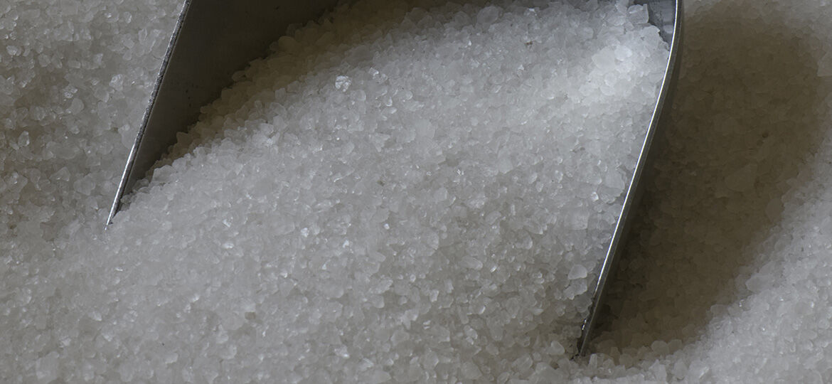 news-il-sale-nel-vocabolario