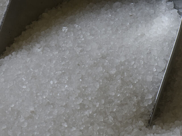 news-il-sale-nel-vocabolario